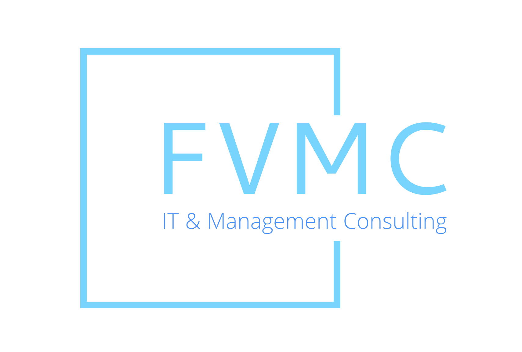 FVMC – IT & Management Consulting